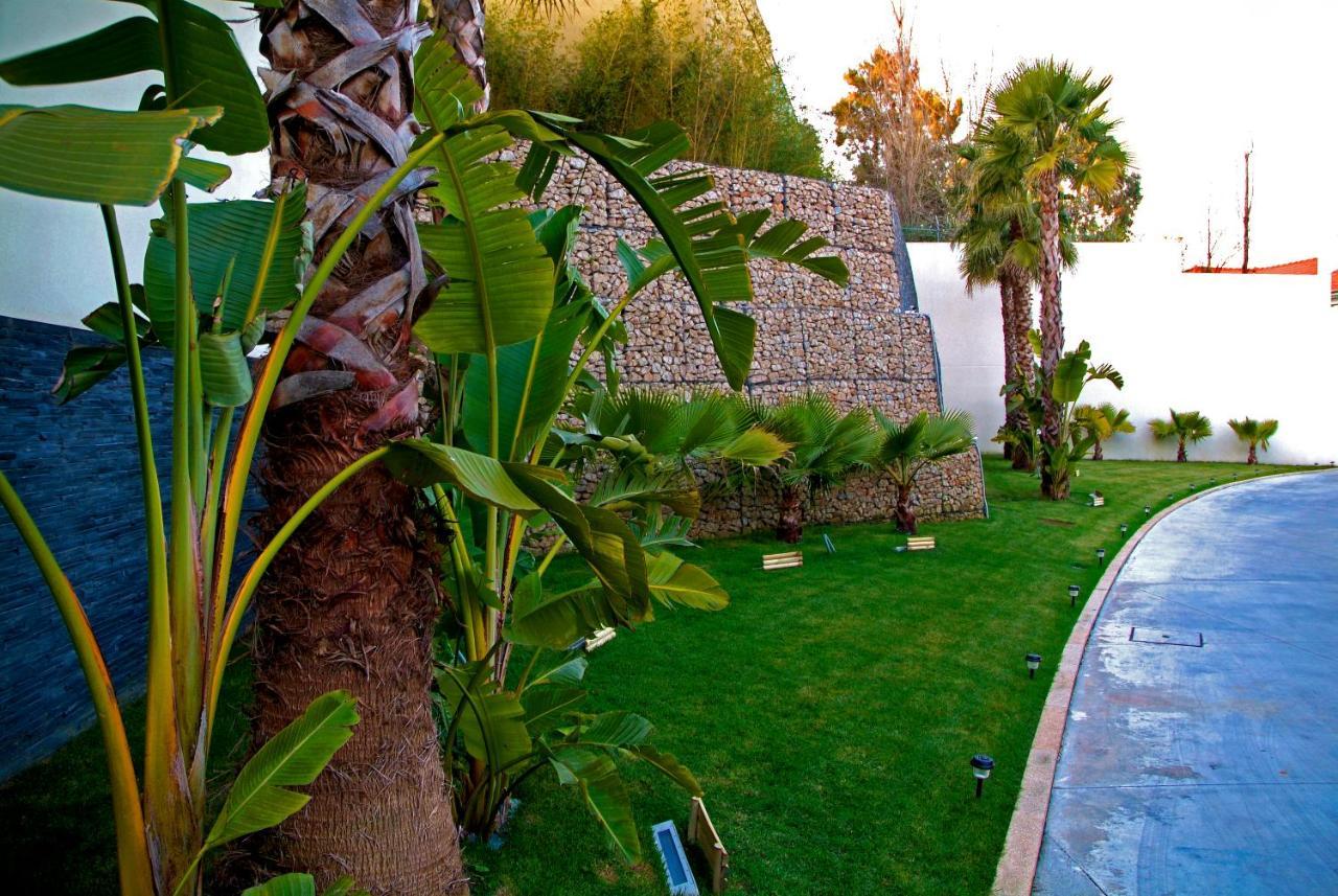 Motel Flamingo Perafita Dış mekan fotoğraf